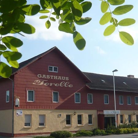 Gasthaus Forelle Thale Exterior foto