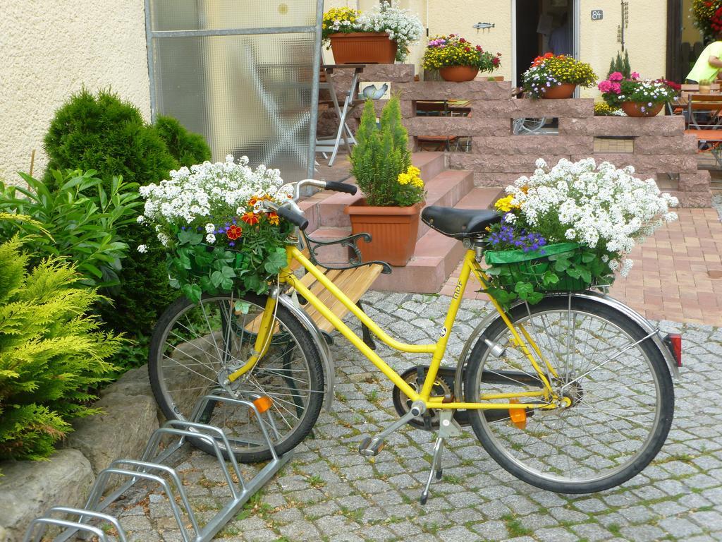 Gasthaus Forelle Thale Exterior foto