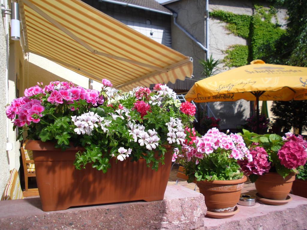 Gasthaus Forelle Thale Exterior foto