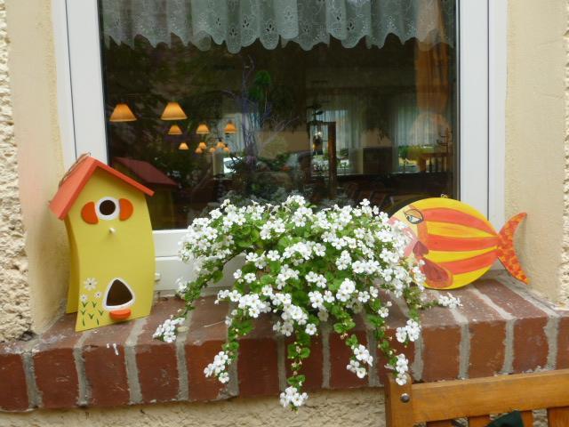 Gasthaus Forelle Thale Exterior foto