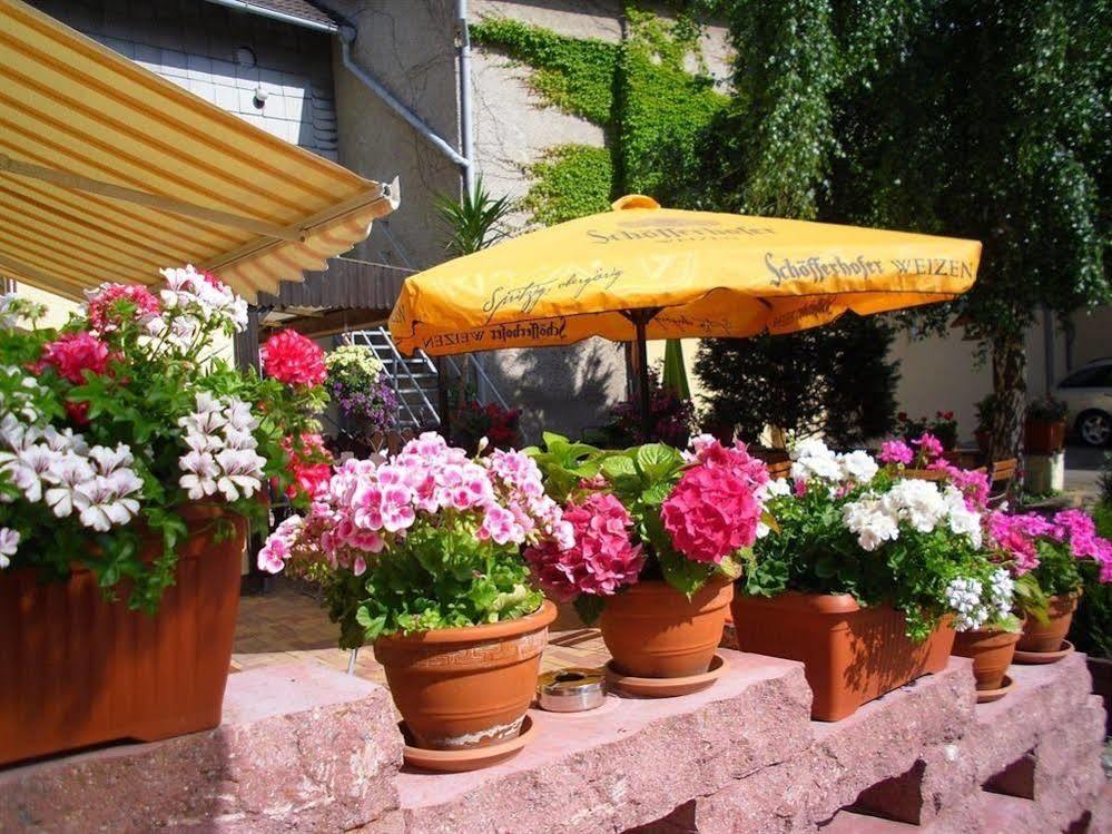 Gasthaus Forelle Thale Exterior foto